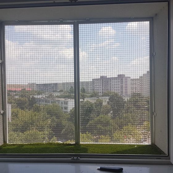 Plasă montată la perete peste pervaz